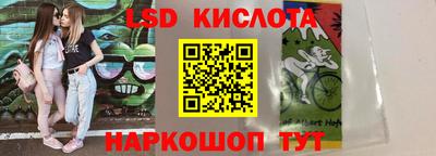 гашик Гусь-Хрустальный