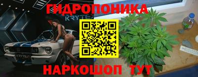 гашик Гусь-Хрустальный