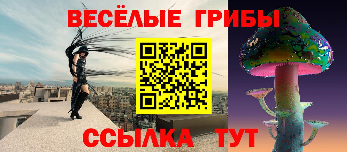 Мирный  Псилоцибиновые грибы GOLDEN TEACHER  закладка  Вход с VPN  Псилоцибиновые грибы GOLDEN TEACHER 