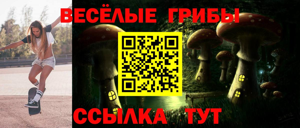 Псилоцибиновые грибы Cubensis Мирный