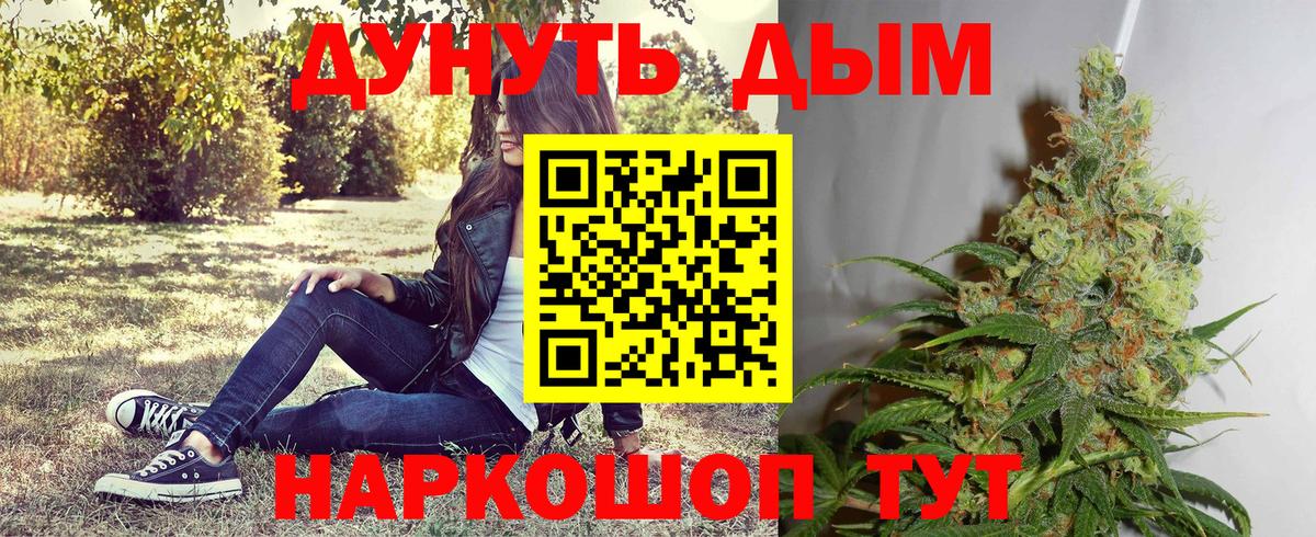 Бошки Шишки Amnesia  Бошки марихуана план  Вход с VPN  Мирный 